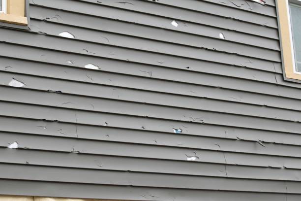 Best Siding for New Construction  in Lookout Mountain, GA